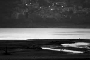 Le fantôme - © Fabien Bruggmann