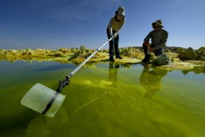 C'est une fois rapporté au laboratoire que les prélèvements réalisés à Dallol livreront tous leurs secrets. - Olivier Grunewald