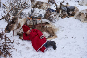 Bayandalay, jeune Tsaatan de 12 ans, dort en compagnie de son renne après une longue journée de transhumance . - Tuul et Bruno Morandi