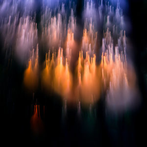 Forêt d'étoiles - Cathy Bernot