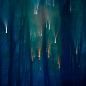 Vivants piliers - Cathy Bernot