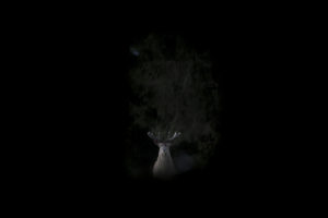 Ghost - Michel d'Oultremont