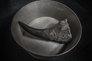 Horn Without Rhino -