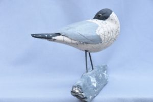 Mouette rieuse - Maggy Anciaux