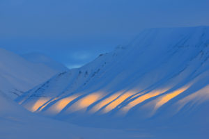 Far North - Sandra Bartocha
