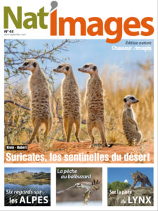 Natimages n°45 - Natimages