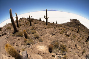 Uyuni - ERIC PIERRE