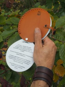 L'éventail à empreintes "Arbres" 2 - Pas de droits d'auteur
