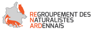 60_logo-renardassos-final.png -