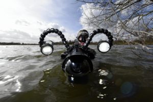 Apnèiste en action - Faune et flore aquatiques de Lorraine