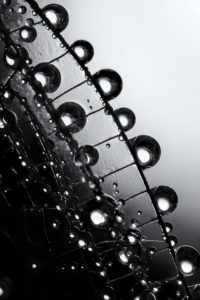 TRANSPARENCE