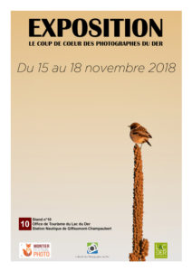 l'affiche de l'expositio à Giffaumont stade nautique - Lionel bouillon fotaniflo