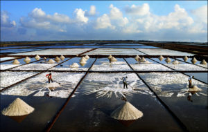 Harvesting salt - Image Sans Frontière