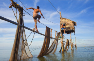 Wave of fishing-net - Image Sans Frontière