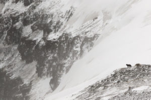 Revendication territoriale - Philippe Garcia