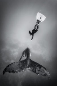 CONTACT - Vincent Truchet