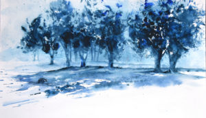 Blaireau - © Yves Fagniart