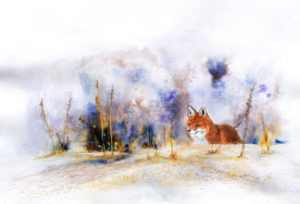 Renard - © Yves Fagniart