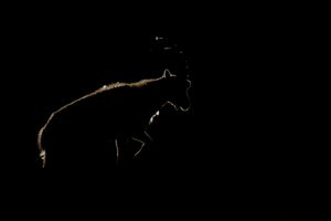 Clair obscure - luca melcarne