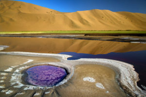 Gobi - libre
