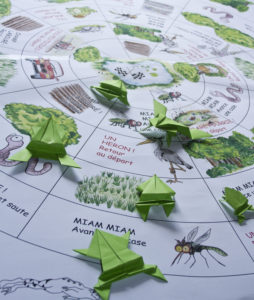 Plateau du jeu de la migration des grenouilles - E.Pops