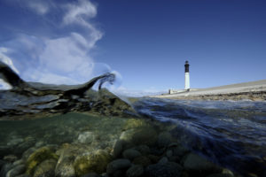 Protecteur de nos côtes et de sa biodiversité, le phare d'Enez-Sun, l'île de Sein - © Xavier Desmier