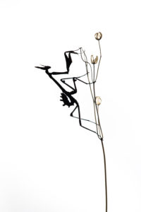 silhouette gracile - Nicolas HELITAS