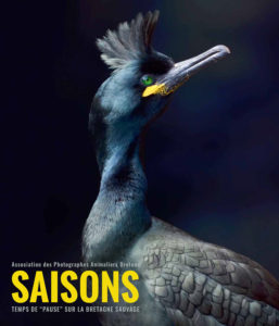 Saisons : Le prince noir - Yoan Raoul