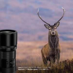 M.ZUIKO 300mm 1:4.0 - Olympus Marcin Dobas