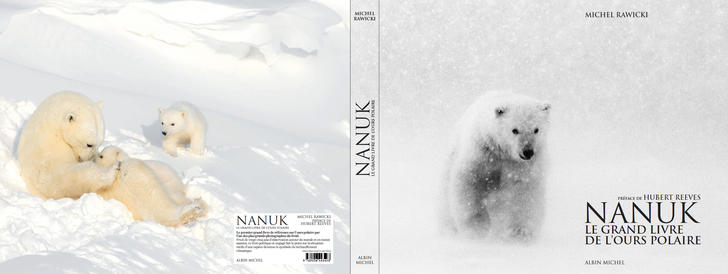 Nanuk L Grand livre de l'ours polaire - MICHEL RAWICKI