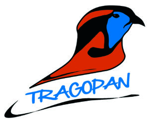 179_logo-color.jpg -
