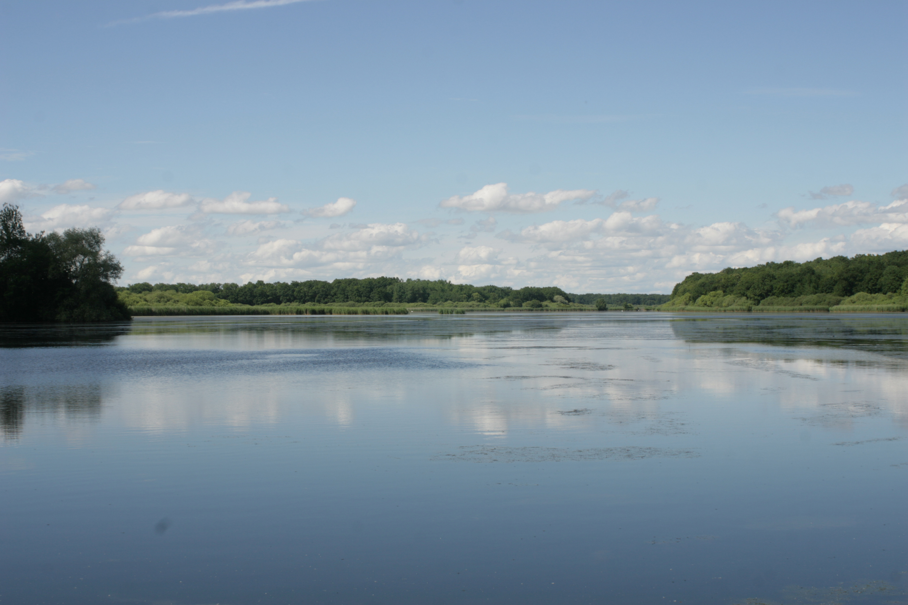 Réserve Naturelle Nationale de l'Étang de la Horre (10/52) - CEN Champagne-Ardenne