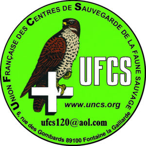 215_ufcs_coeur_jpg.jpg -