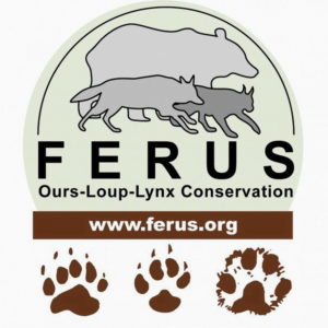 226_logo-ferus-3.jpg -