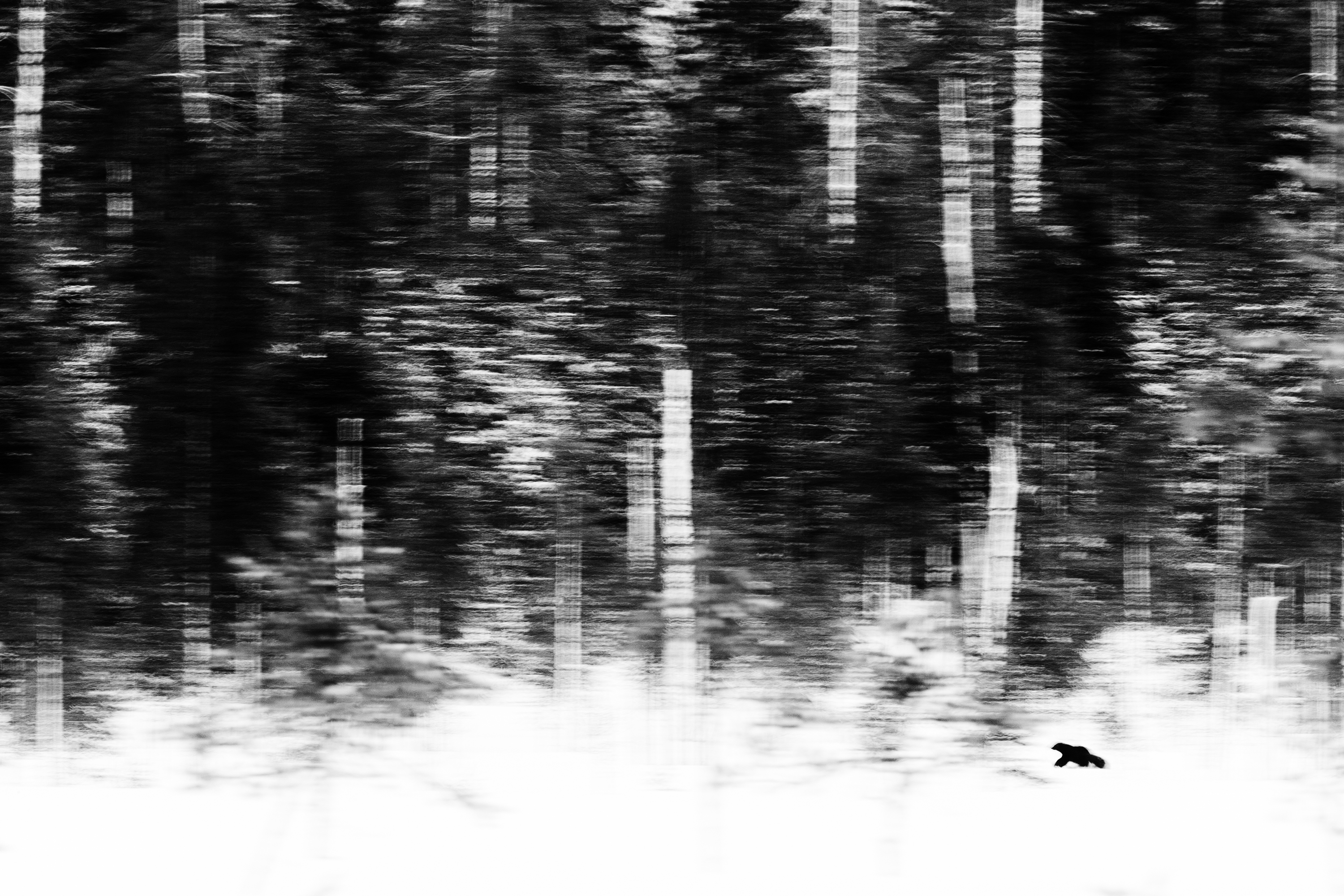 The lonely hunter - GDTEWPY 2018: Jan van der Greef