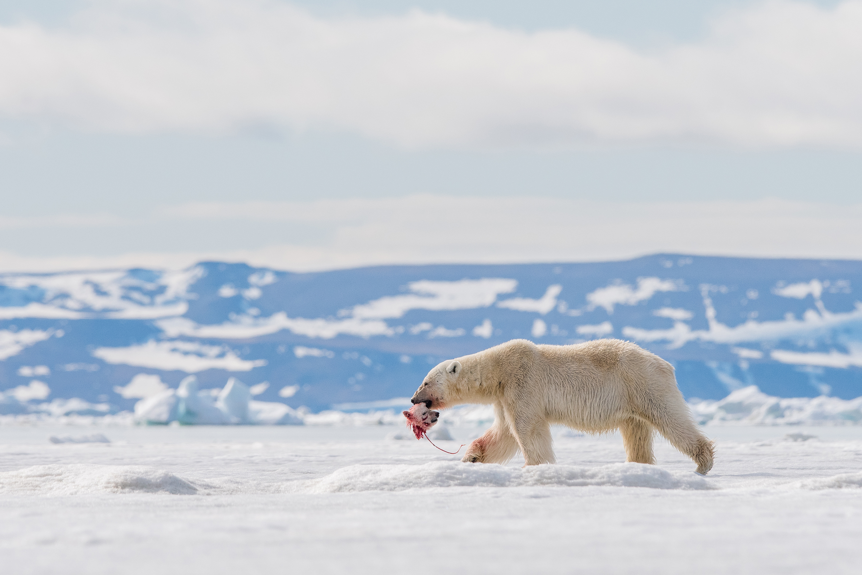 Next generation - GDTEWPY 2018: Audun Lie Dahl