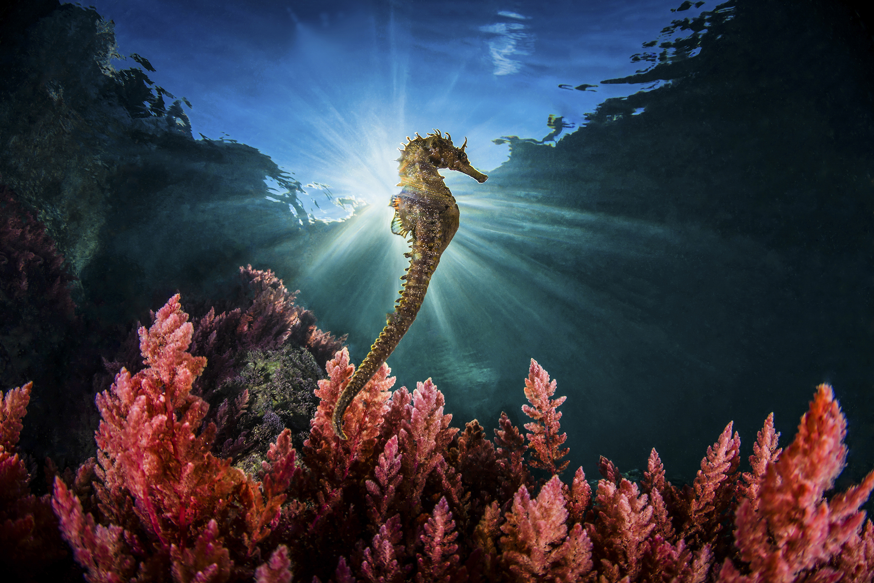 Elevation - GDTEWPY 2018: Marco Gargiulo