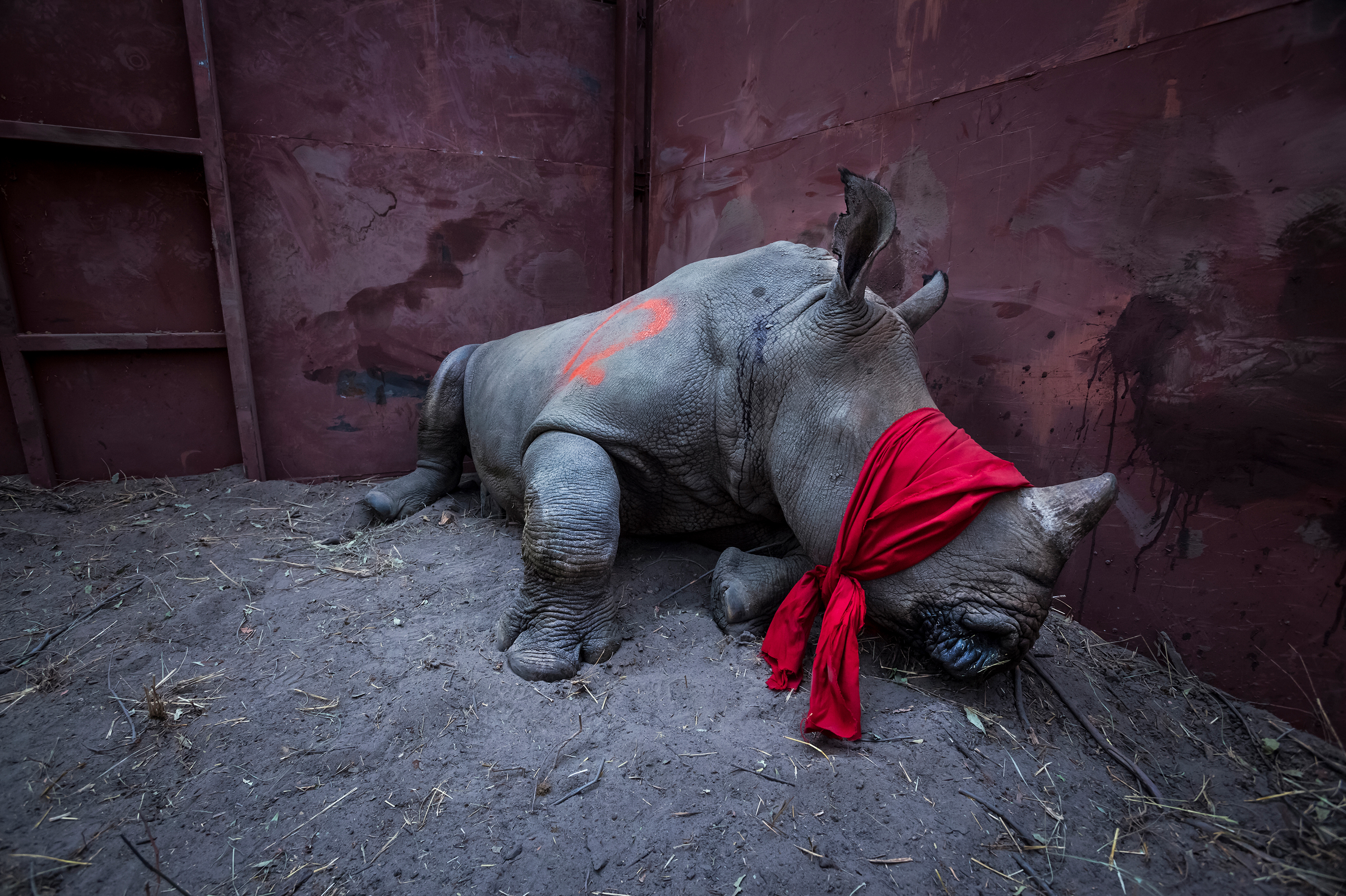 Waiting for freedom - GDTEWPY 2018: Neil Aldridge