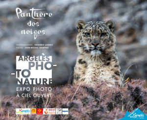 361_affiche-expo.jpg -