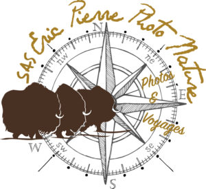 369_logoericpierre7.jpg -