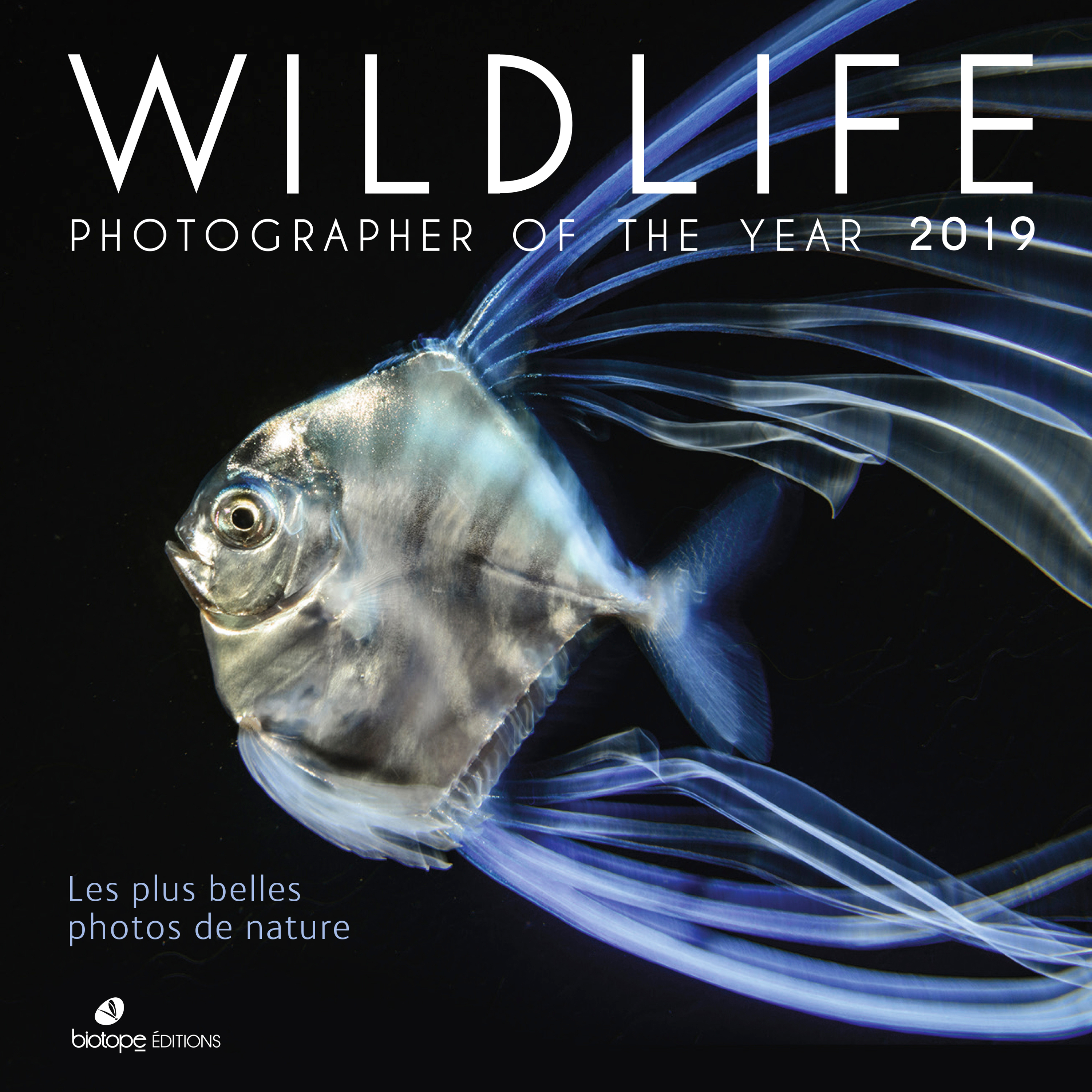 Wildlife Photographer of the Year 2019 - les plus belles photos de nature - Portfolio des lauréats du concours 2019 du Muséum de Londres
