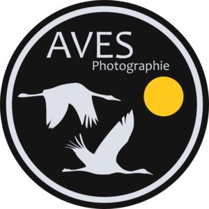 530_logo-jpeg-3000px.jpg -