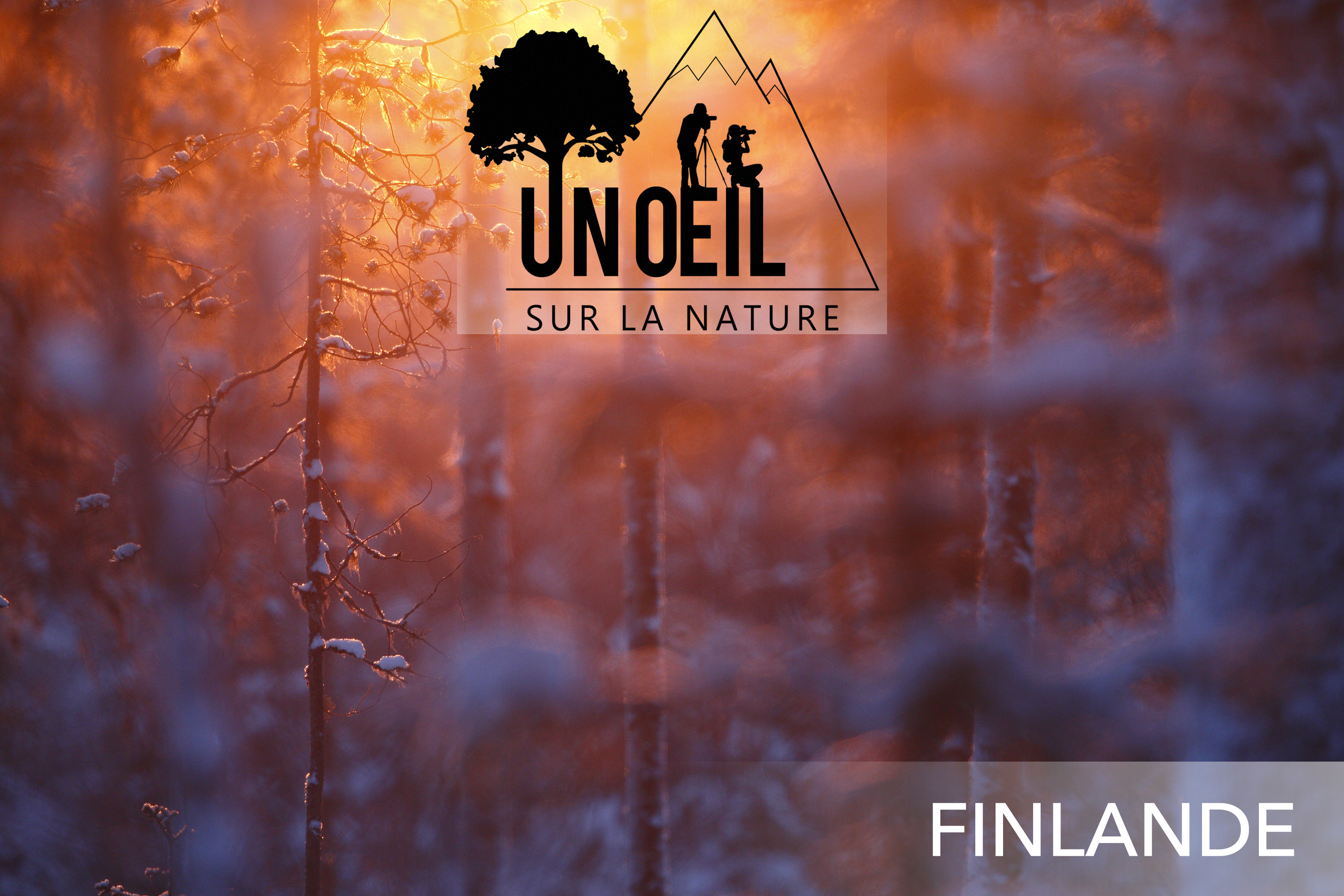 Voyage photo Laponie finlandaise - Jonathan Lhoir