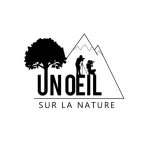 556_uosln_logo21x21cm.jpg -