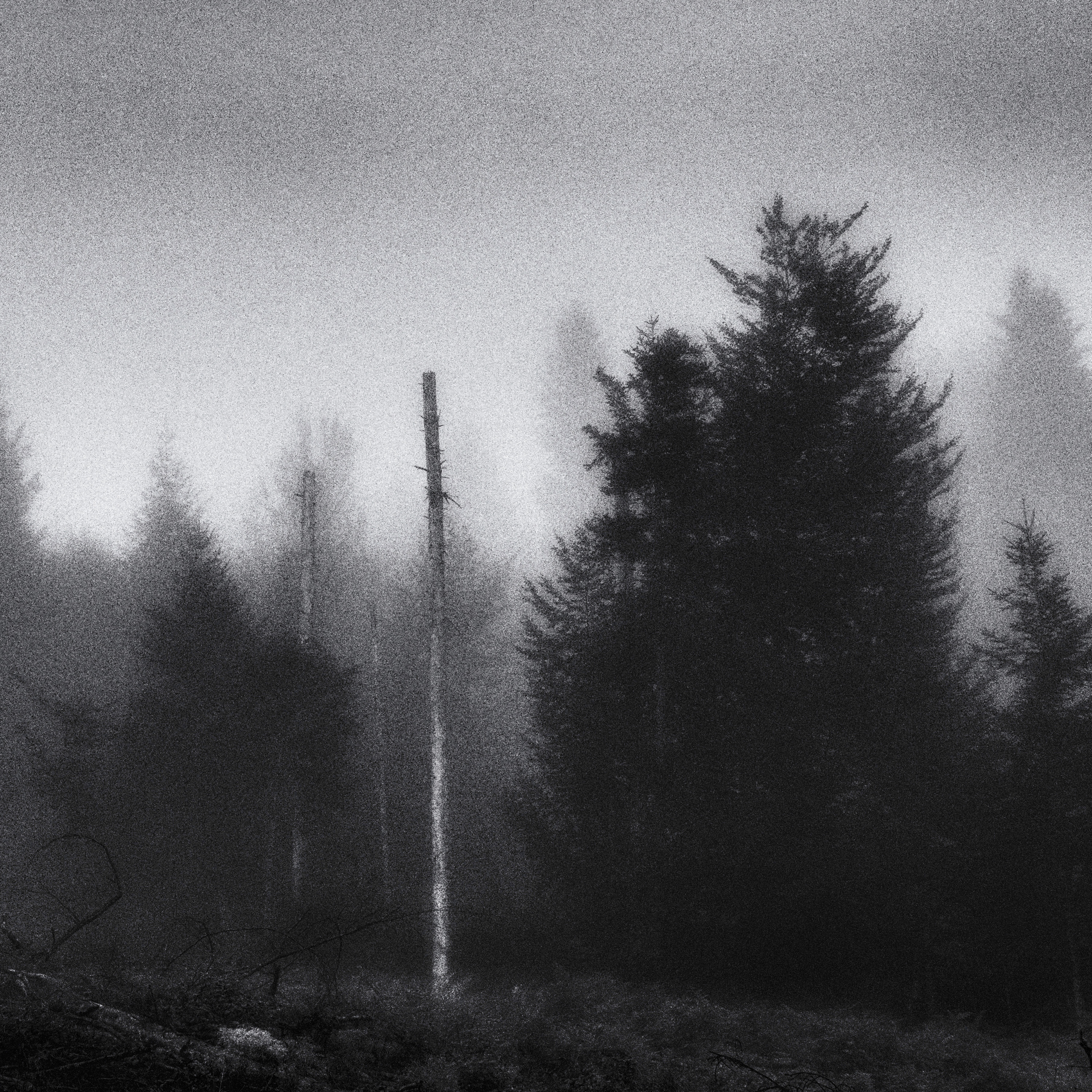 Désolation 4571 - ©Roland Avard2019