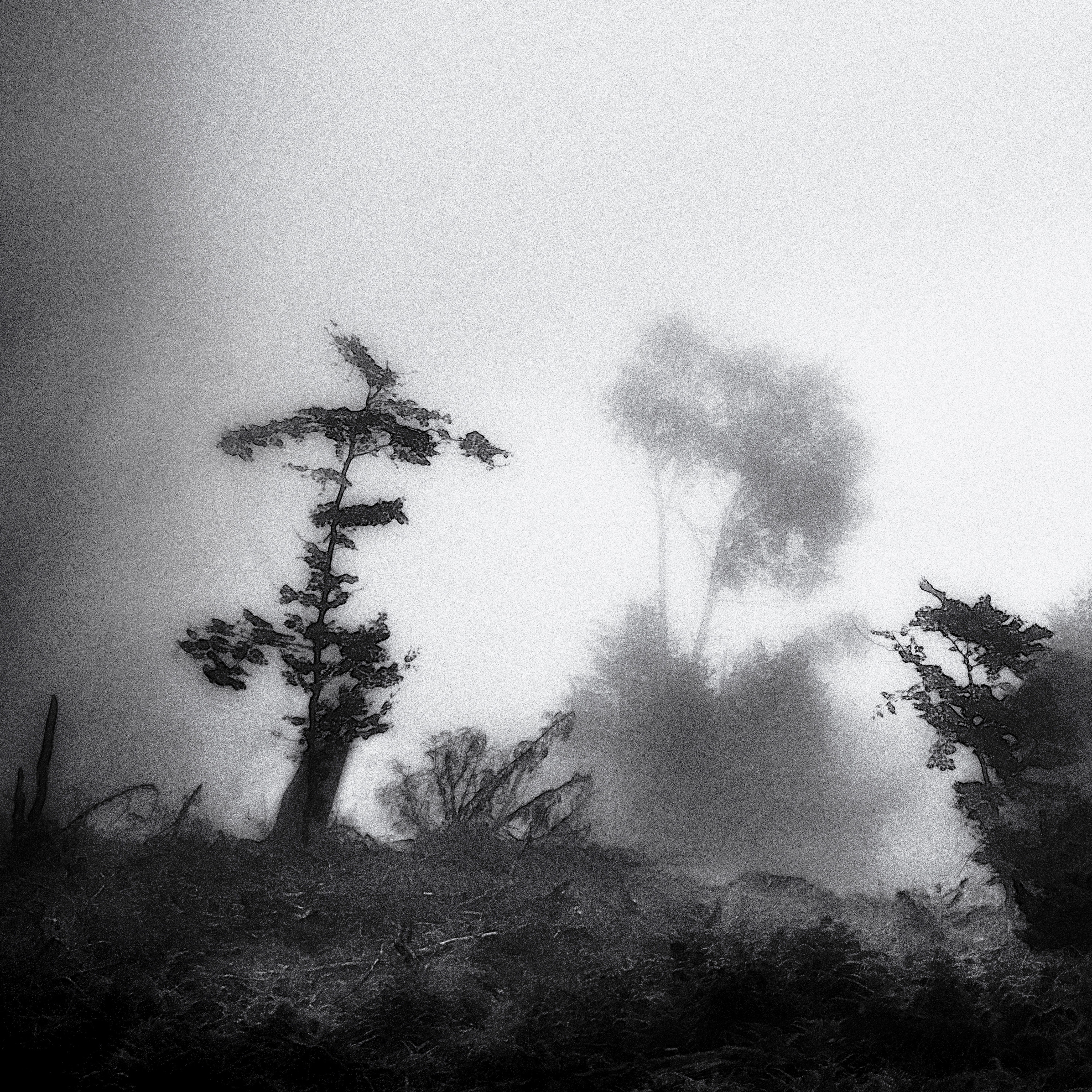 Désolation 4573 - ©Roland Avard2019