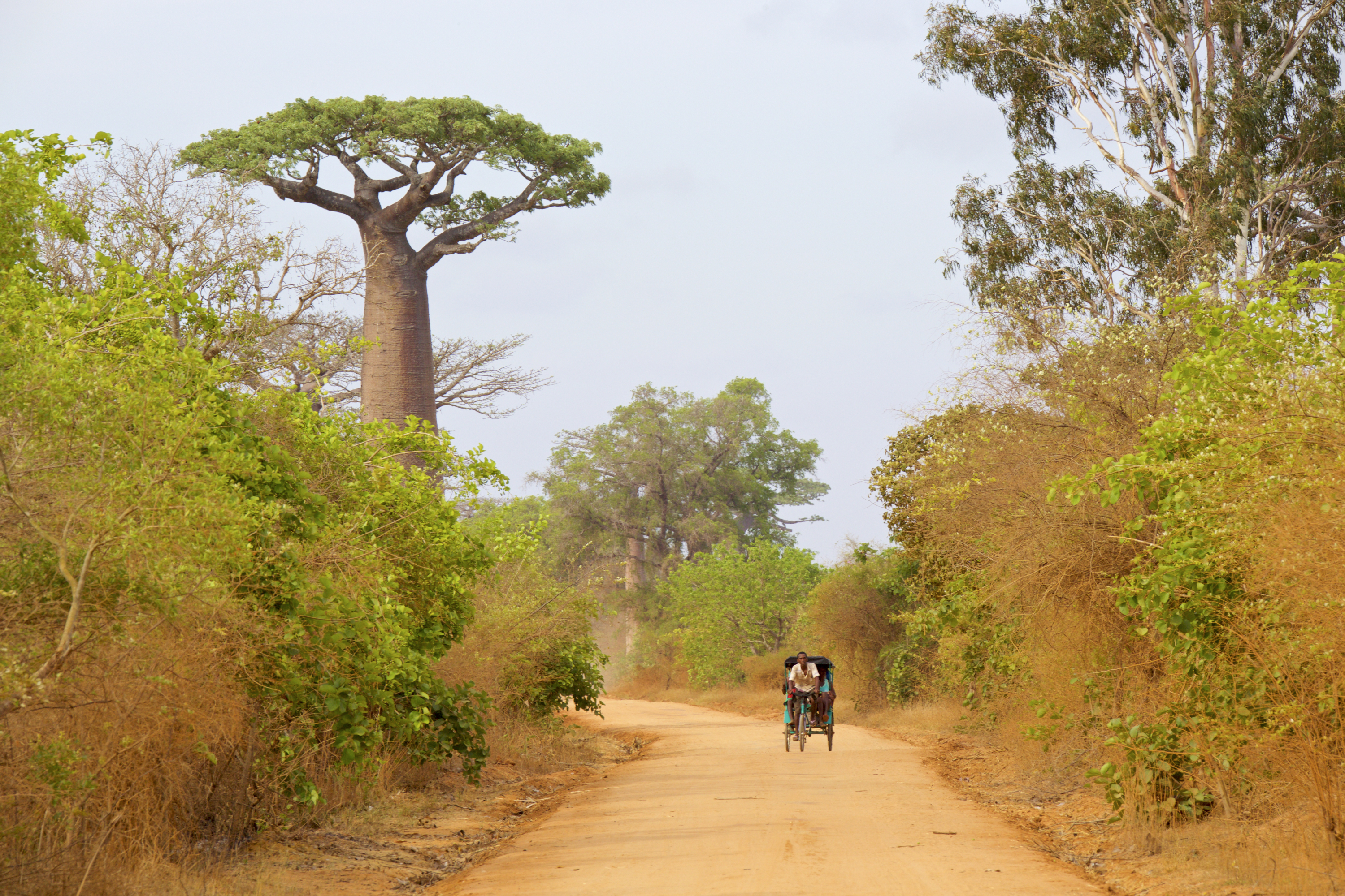 Sur la piste du grand ouest de Madagascar - Lorraine BENNERY