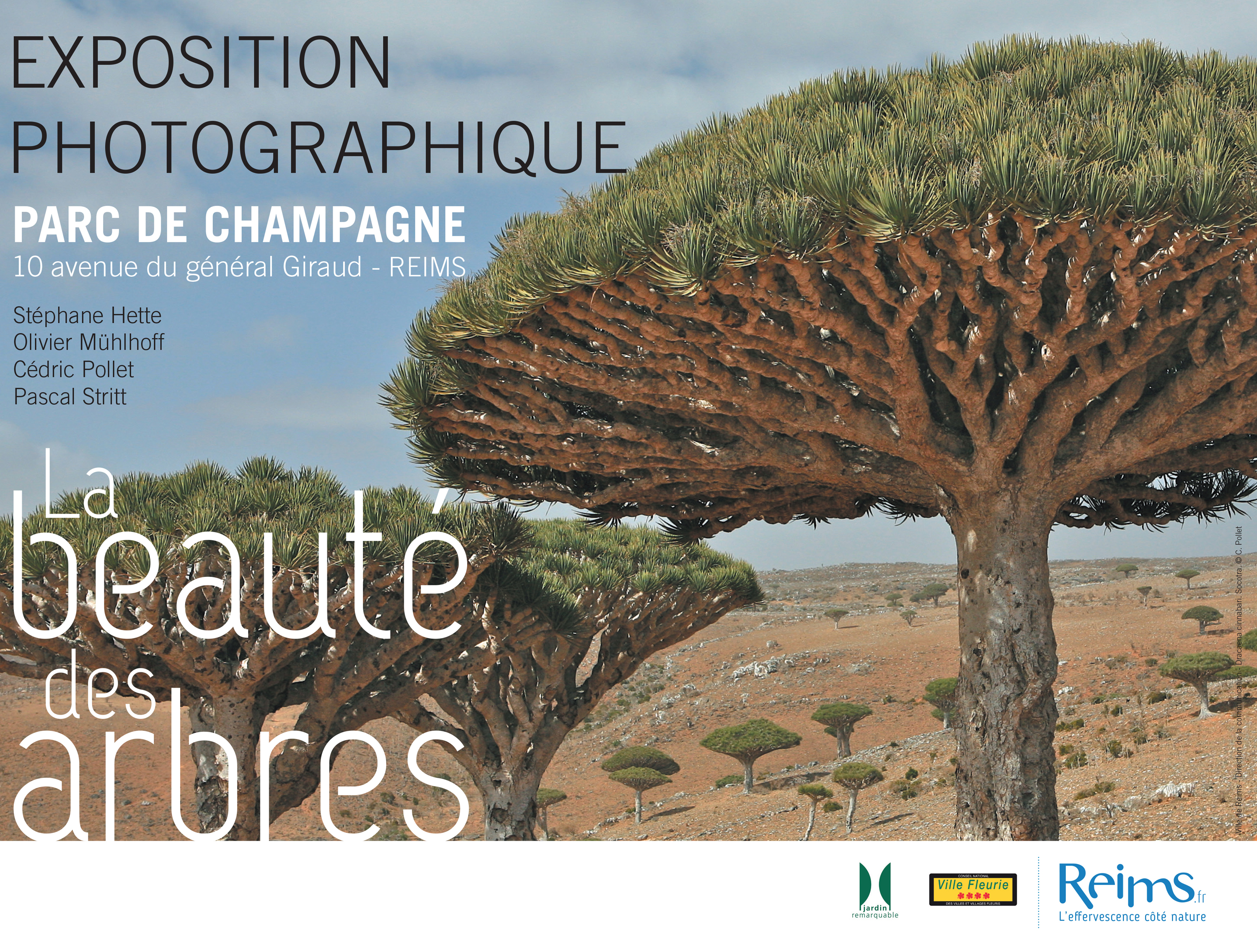 Visuel expo Reims - ??