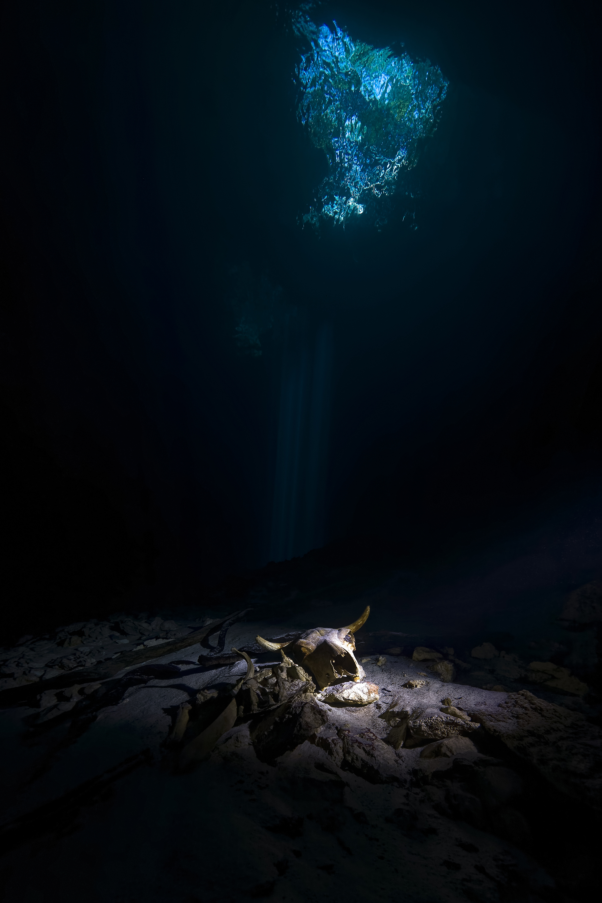 ENTRE DEUX MONDES - FABRICE GUERIN
