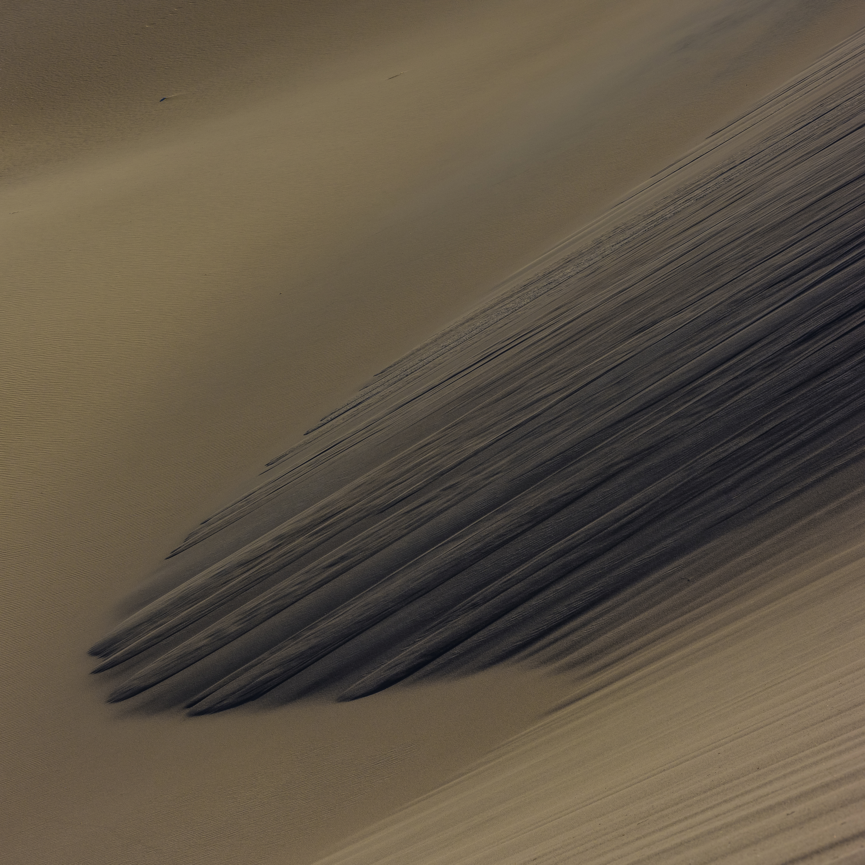 Mesquite Flat Dunes, Death Valley, US - ©Benoît Feron